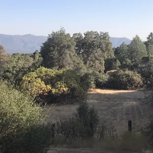 Views from the hot tub