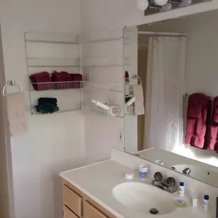 Red Delicious bathroom.