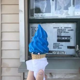 Small strawberry and vanilla swirl dipped in blue raspberry