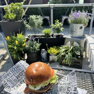 Burger with a view of plants :)