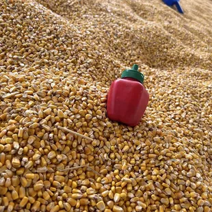 a pile of corn and a bottle of ketchup