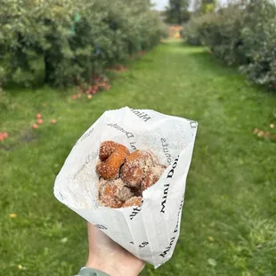 Pumpkin spice mini donuts