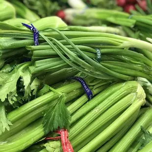 a pile of celery