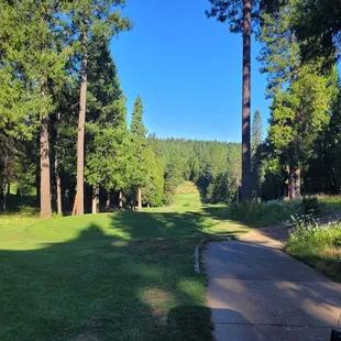 The first tee.