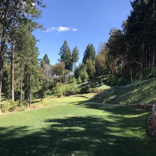 Whiskey Bowl - Hole 15 - Par 3