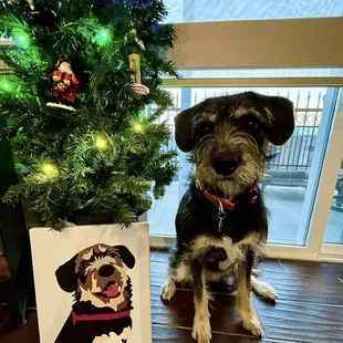 Custom hand-drawn pet portraits. 8x10 canvas print.