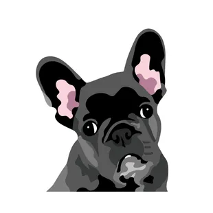 Custom hand-drawn pet portraits.