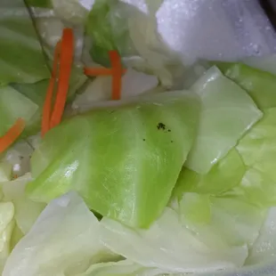 Looks like I got a little extra with my &quot;steamed vegetables&quot;. The vegetables were are steamed cabbage, carrots and something &quot;extra&quot;. GROSS!