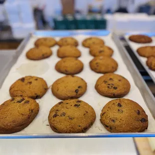 Missing cookie alert!