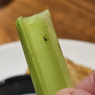 They literally served me bugs