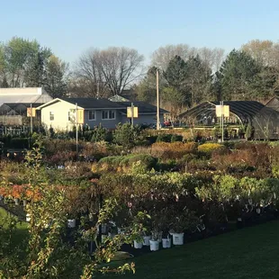 A view of the yard at Applewood Nursery &amp; Landscape Supply.