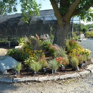 Enjoy our landscaping and get ideas for your own projects!