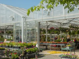 Abrahamson Nurseries