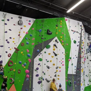 Rock wall, with harness