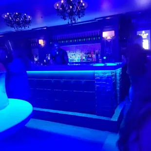 people sitting at the bar