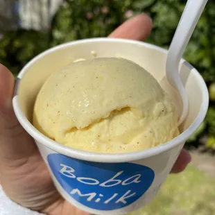 Golden Milk Frozen Yogurt