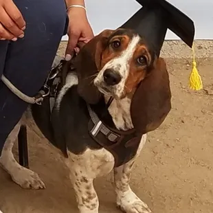 Morticia graduated today