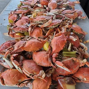 Crabs!