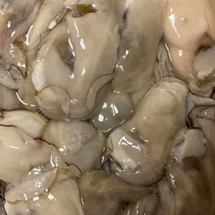 Fresh Local Shucked Oysters