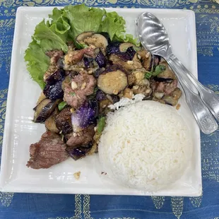 Stir Fried Eggplants