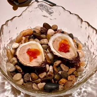 - Cascumpec Oyster