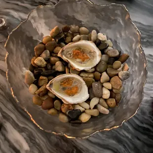 a bowl of oysters and rocks