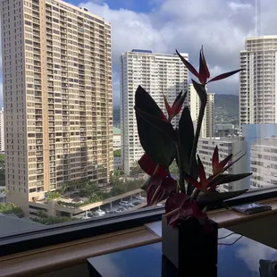 Just a penthouse suite thanks to Castle vacation rentals Hawaii/Airbnb. They really know how to treat us girls heart emoji