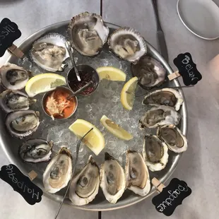 food, mussels, shellfish, oysters and mussels, oysters