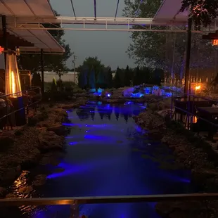 PondScape 1st year summer long view
