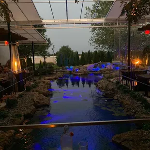 PondScape 1st year long photo before dinner
