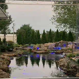 PondScape 1st year sitting down for dinner