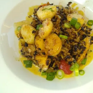 Scallops and fried wild rice
