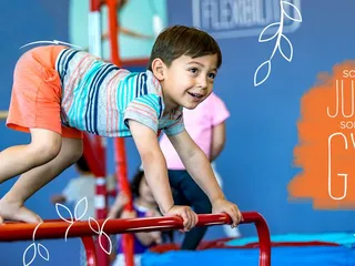The Little Gym