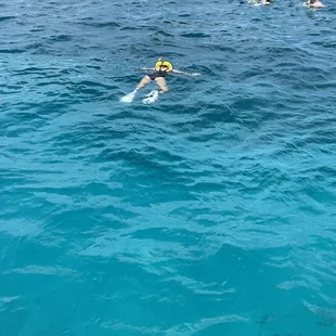 Snorkeling