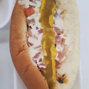 a hot dog with mustard and ketchup