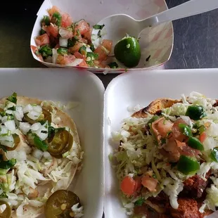 Taco (left) Lorenza (right)