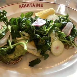 Avocado Tartine