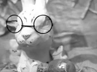 u Paint Pottery Studio