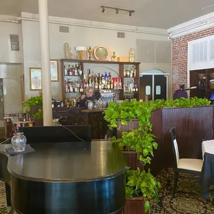 Piano music every night