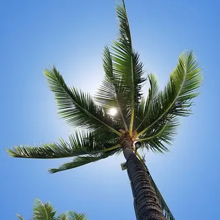 TheFoodieReviewer C.