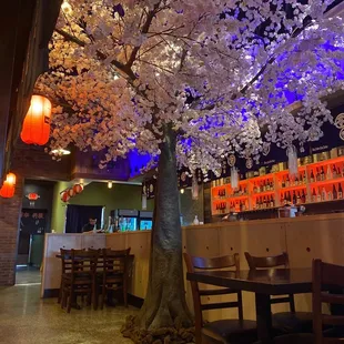 a cherry tree in a restaurant