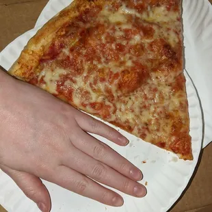 Got a slice, it was huge! Worth it