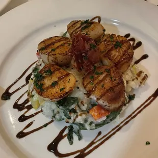 Daily special: Scallops