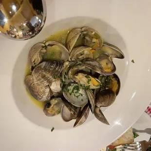 Cuocere di Vongole