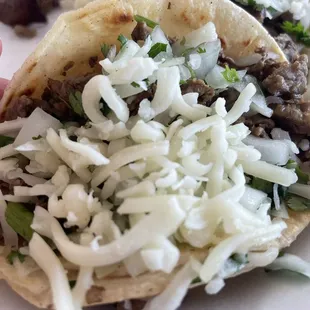 Tacos carnita