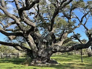 Goose Island State Park