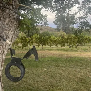 A horse shaped tire swing