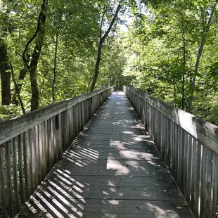 Lots of these trails to walk