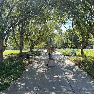 a path lined with trees