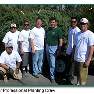 our professional planting crew